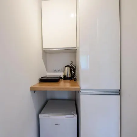 Czarny Jelen בית הארחה 3*