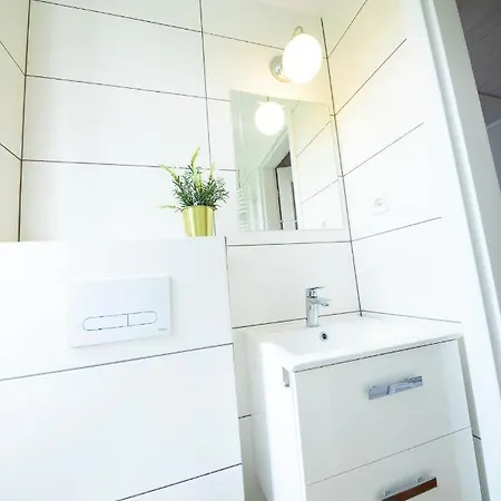 Guest house Czarny Jelen