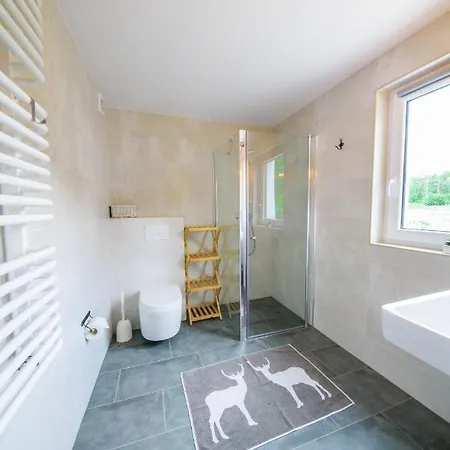 Guest house Czarny Jelen 3*