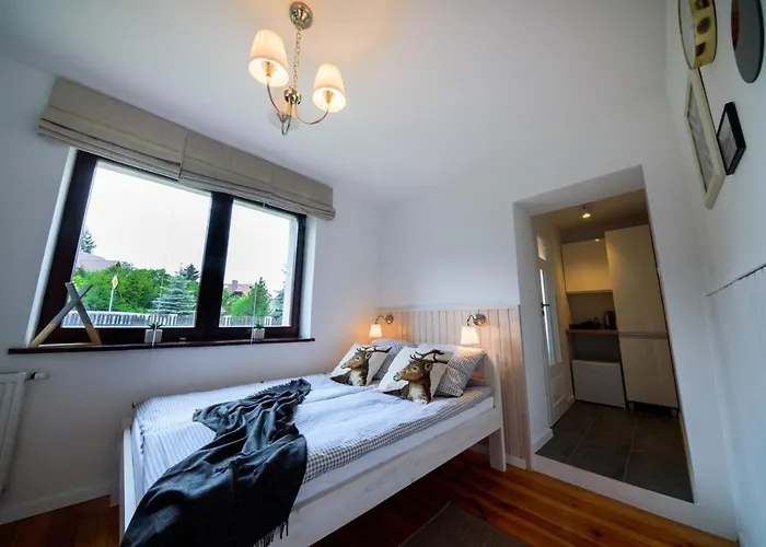 Czarny Jelen Guest house 3*