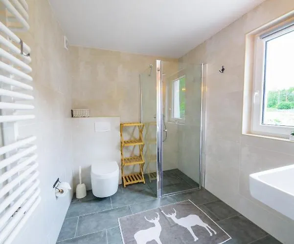 Guest house Czarny Jelen 3*