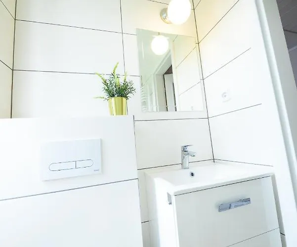 Guest house Czarny Jelen