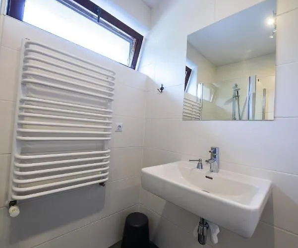 Guest house Czarny Jelen