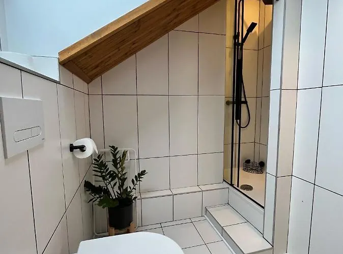 Czarny Jelen Guest house